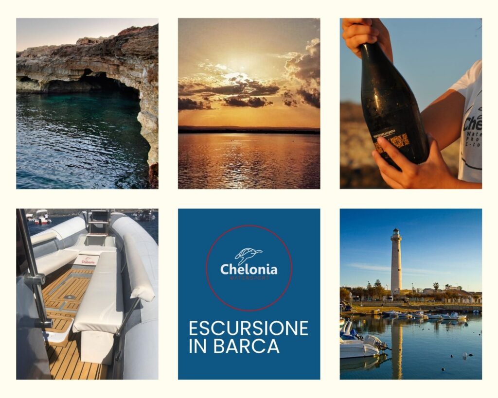 WhatsApp Image 2026-03-24 at 12.52.08 (1)