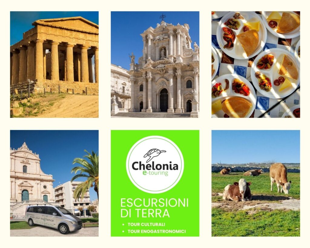 WhatsApp Image 2026-03-24 at 13.24.48