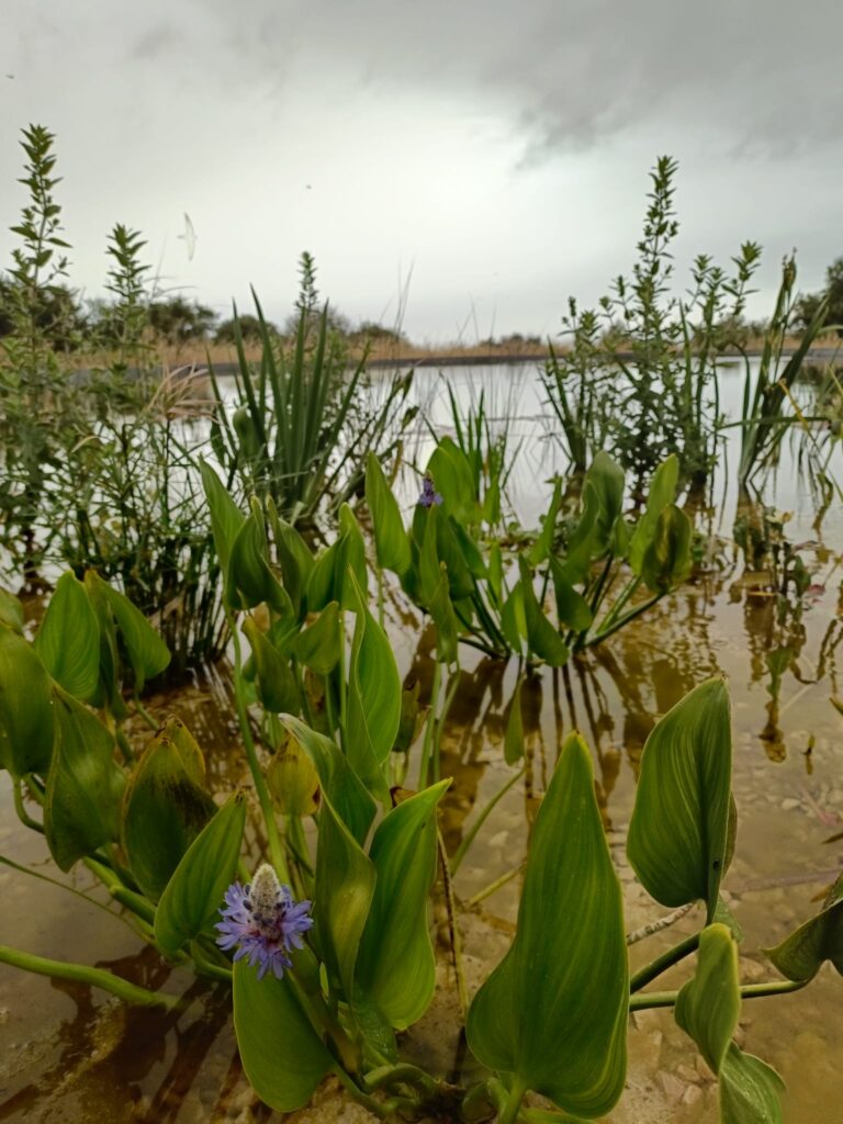 18e94c41-44be-474b-ab79-5e3594d3d9e1