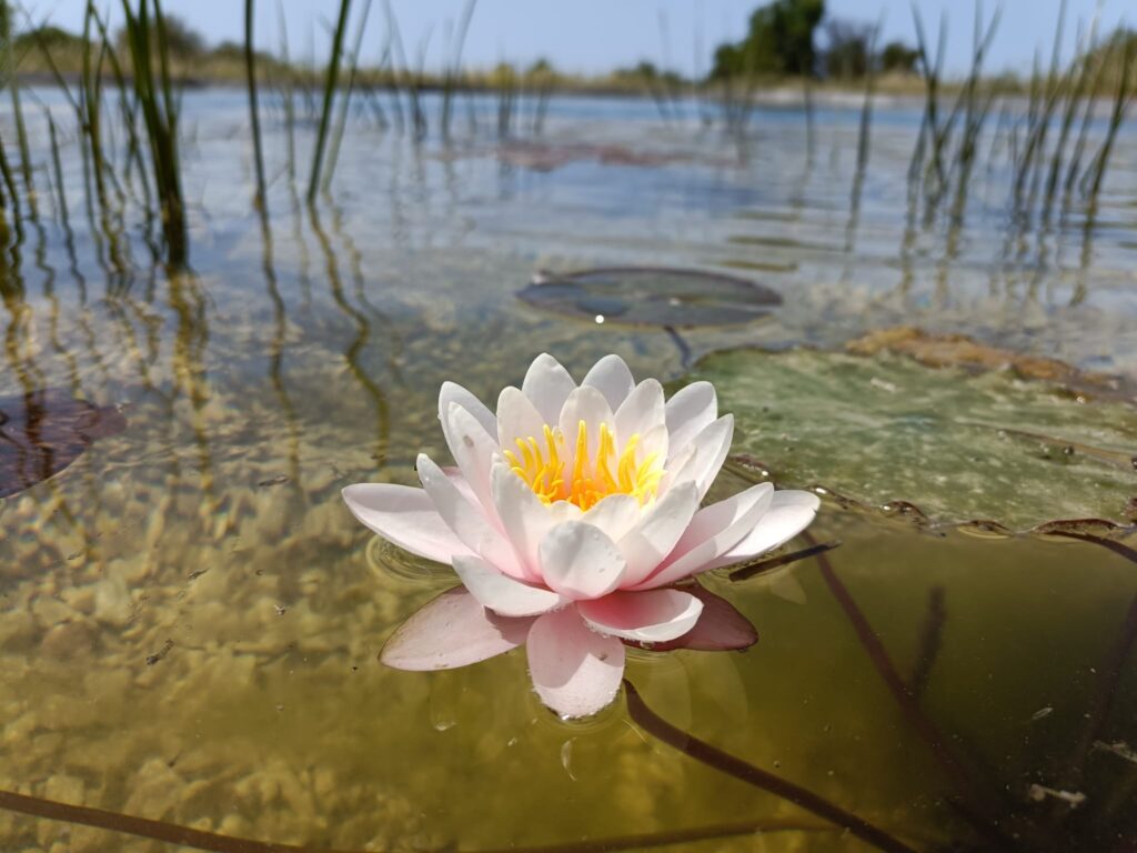 89aa5f1f-a75b-4035-bdd9-b08ae7cb912d