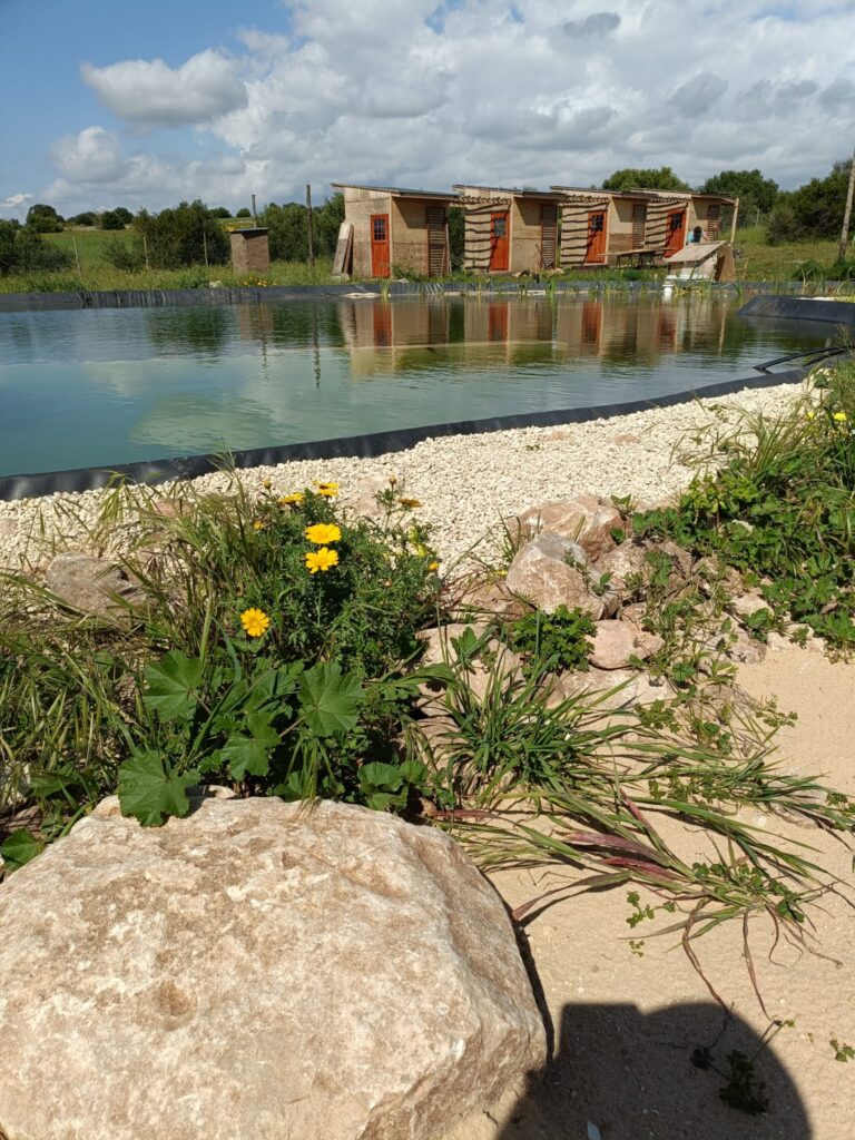 e38592be-1be9-4739-a8e4-a0302670cd3a