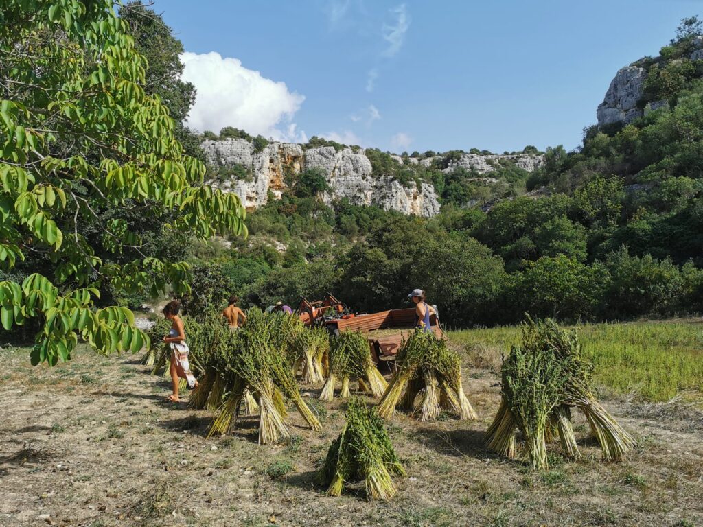 IMG-20220921-WA00211