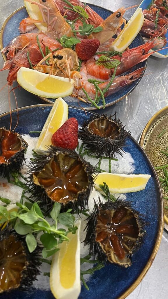 WhatsApp-Image-2025-12-19-at-13.03.17-1