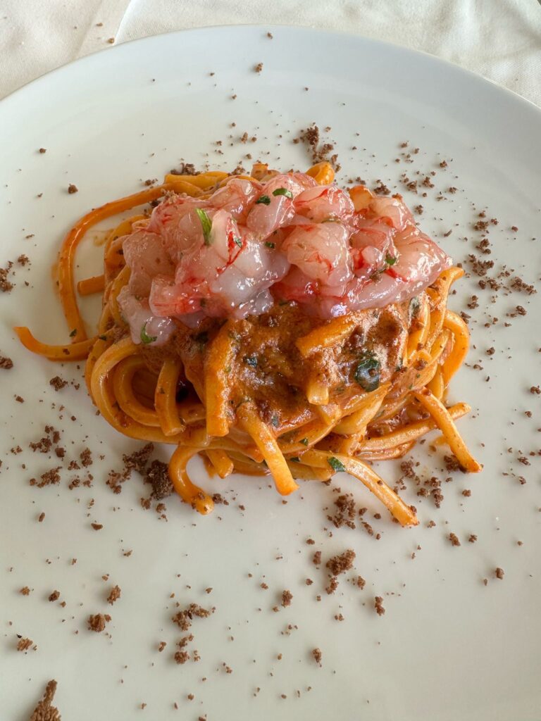 WhatsApp-Image-2025-12-19-at-13.03.19