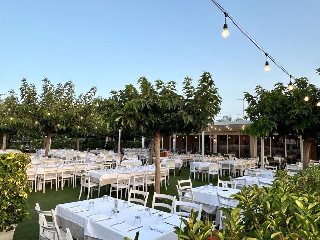 WhatsApp-Image-2025-12-19-at-13.03.22