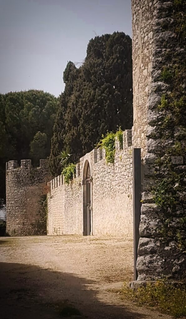 IMG_20240707_233020-1